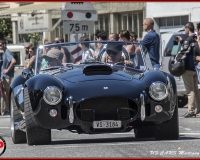 TSR Watermark - 0622